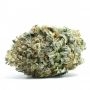 Masonrie Lit in Las Vegas Smoke Buds Weed Ganja Skunk Dope Pot Images Pics Nuggets