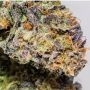 Cherry Impossible Regular Marijuana Strain by Massive Creations For Sale Online at Cannabis Seeds Outlet