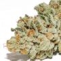 Thors Hammer Regular Marijuana Strain by Massive Creations For Sale Online at Cannabis Seeds Outlet