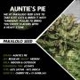 Pakalolo Seedbank Aunties Pie Smoke Buds Weed Ganja Skunk Dope Pot Images Pics Nuggets