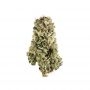 Aunties Pie Regular by Pakalolo Seedbank THC Content Potency Strength CBD Height Yield Flowering Time Indica Sativa Genetics