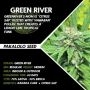 Pakalolo Seedbank Green River Smoke Buds Weed Ganja Skunk Dope Pot Images Pics Nuggets