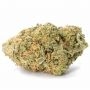 Peach Lassi Regular by Perfect Tree Seeds THC Content Potency Strength CBD Height Yield Flowering Time Indica Sativa Genetics