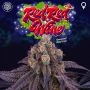Red Red Wine Feminized Marijuana Strain by Perfect Tree Seeds For Sale Online at Cannabis Seeds Outlet