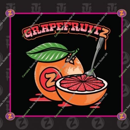 Grapefruitz Regular Marijuana Strain by Platinum Terp Hogz For Sale Online at Cannabis Seeds Outlet