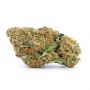 Pot Valley Seeds Icing on the Cake Smoke Buds Weed Ganja Skunk Dope Pot Images Pics Nuggets