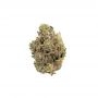 Pot Valley Seeds Cannabis Strain Kings Fudge Cake Regular Marijuana Seeds Original Collector Souvenir Authentic Packaging Packs