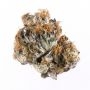 Pot Valley Seeds Kings Fudge Cake Smoke Buds Weed Ganja Skunk Dope Pot Images Pics Nuggets