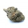 Strawberry Zee Regular Marijuana Strain by Pot Valley Seeds For Sale Online at Cannabis Seeds Outlet