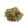Pot Valley Seeds Strawberry Star Fruitz Smoke Buds Weed Ganja Skunk Dope Pot Images Pics Nuggets