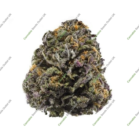 Candy Twist Feminized Marijuana Strain by Pot Valley Seeds For Sale Online at Cannabis Seeds Outlet