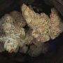 Twisted Lemon Ripple Regular Marijuana Strain by Pot Valley Seeds For Sale Online at Cannabis Seeds Outlet