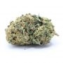 Rare Dankness Karma Bitch Smoke Buds Weed Ganja Skunk Dope Pot Images Pics Nuggets