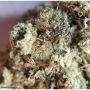 Rare Dankness Star Ox Smoke Buds Weed Ganja Skunk Dope Pot Images Pics Nuggets