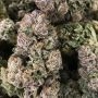 Dark Ghost Train Feminized Marijuana Strain by Rare Dankness For Sale Online at Cannabis Seeds Outlet