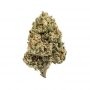 Rare Dankness Scavengers Daughter Smoke Buds Weed Ganja Skunk Dope Pot Images Pics Nuggets