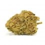 TH Seeds MK Ultra Kush Smoke Buds Weed Ganja Skunk Dope Pot Images Pics Nuggets