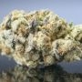 TH Seeds Underdawg Kush Smoke Buds Weed Ganja Skunk Dope Pot Images Pics Nuggets