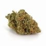TH Seeds Northern Hog Automatic Smoke Buds Weed Ganja Skunk Dope Pot Images Pics Nuggets