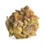 TH Seeds BubbleGum Smoke Buds Weed Ganja Skunk Dope Pot Images Pics Nuggets
