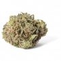TH Seeds S.A.G.E. CBD Smoke Buds Weed Ganja Skunk Dope Pot Images Pics Nuggets