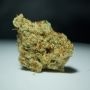TH Seeds Stracciatella Smoke Buds Weed Ganja Skunk Dope Pot Images Pics Nuggets