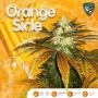 TH Seeds Orangesicle Smoke Buds Weed Ganja Skunk Dope Pot Images Pics Nuggets