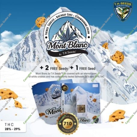 Mont Blanc Feminized Marijuana Strain by TH Seeds For Sale Online at Cannabis Seeds Outlet