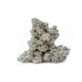 Banana Candy Krush Feminized by TH Seeds THC Content Potency Strength CBD Height Yield Flowering Time Indica Sativa Genetics