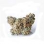 MelonSicle Feminized by TH Seeds THC Content Potency Strength CBD Height Yield Flowering Time Indica Sativa Genetics