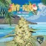 Wy-Kiki Feminized by TH Seeds THC Content Potency Strength CBD Height Yield Flowering Time Indica Sativa Genetics