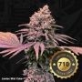 London Mint Cake Feminized Marijuana Strain by TH Seeds For Sale Online at Cannabis Seeds Outlet