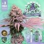 TH Seeds London Mint Cake Smoke Buds Weed Ganja Skunk Dope Pot Images Pics Nuggets