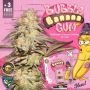 TH Seeds Bubble Banana Gum Smoke Buds Weed Ganja Skunk Dope Pot Images Pics Nuggets