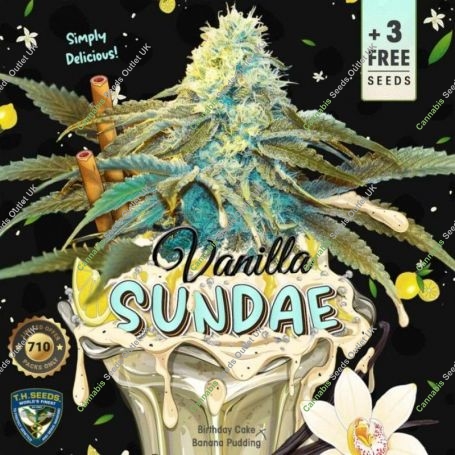 Vanilla Sundae Feminized Marijuana Strain by TH Seeds For Sale Online at Cannabis Seeds Outlet