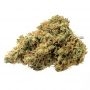 TH Seeds Strawberry Glue X SBC Reg Smoke Buds Weed Ganja Skunk Dope Pot Images Pics Nuggets
