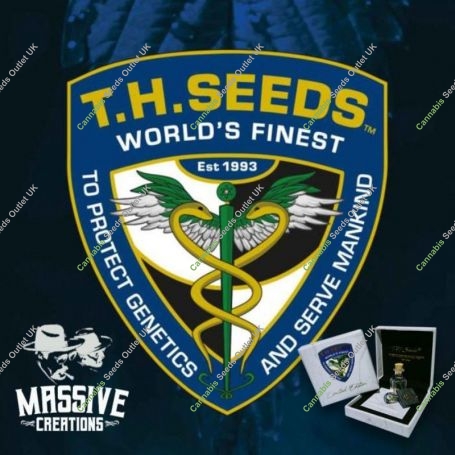 Zendu Kush Regular Marijuana Strain by TH Seeds For Sale Online at Cannabis Seeds Outlet