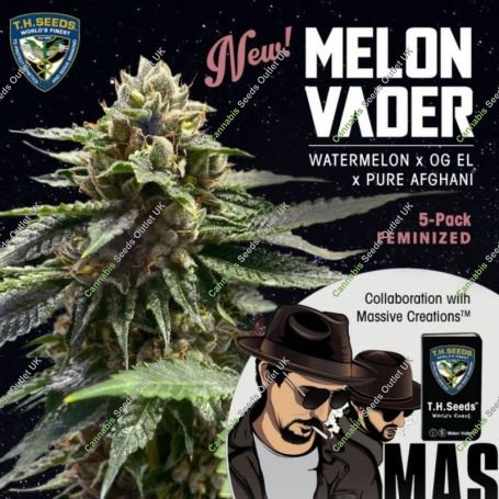Melon Vader Feminized Marijuana Strain by TH Seeds For Sale Online at Cannabis Seeds Outlet