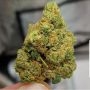The Plug Seedbank El Chapo Smoke Buds Weed Ganja Skunk Dope Pot Images Pics Nuggets