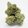 The Plug Seedbank Zupreme Smoke Buds Weed Ganja Skunk Dope Pot Images Pics Nuggets