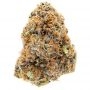 The Plug Seedbank Patron Smoke Buds Weed Ganja Skunk Dope Pot Images Pics Nuggets