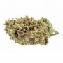 Cookie Fever Regular by True Canna Genetics THC Content Potency Strength CBD Height Yield Flowering Time Indica Sativa Genetics