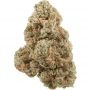 True Canna Genetics Tora Bora Cookies Smoke Buds Weed Ganja Skunk Dope Pot Images Pics Nuggets