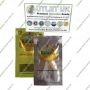 Original Big Buddha Farm Cannabis Strain Auto Cheese Feminized Marijuana Seeds Original Collector Souvenir Authentic Packaging P