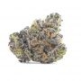 Apple Fudge Feminized by Grounded Genetics THC Content Potency Strength CBD Height Yield Flowering Time Indica Sativa Genetics