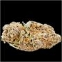 London Kosher Regular by Dank Hunters THC Content Potency Strength CBD Height Yield Flowering Time Indica Sativa Genetics