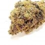 Mosca Seeds Midnight Special Smoke Buds Weed Ganja Skunk Dope Pot Images Pics Nuggets