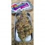 Zmoothiez Seeds Cannabis Strain Candy Lime Feminized Marijuana Seeds Original Collector Souvenir Authentic Packaging Packs