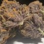 Forbidden Nectar Feminized by Zmoothiez Seeds THC Content Potency Strength CBD Height Yield Flowering Time Indica Sativa Genetic