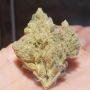 Zmoothiez Seeds Cannabis Strain Supa Choopz Feminized Marijuana Seeds Original Collector Souvenir Authentic Packaging Packs